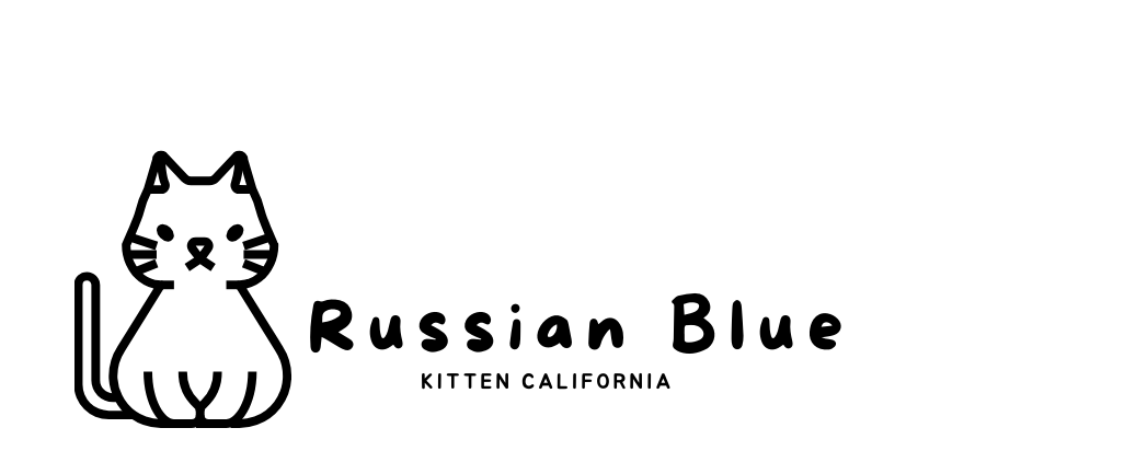 Russian Blue kittens for sale